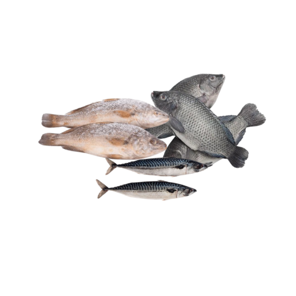 Frozen Fish