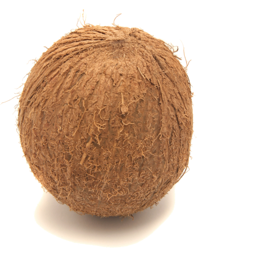 Coconut