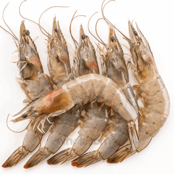 Peeled & Cooked Prawns