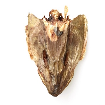 Stockfish head